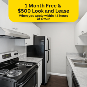 Photo Gallery for Unit B410